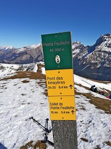 La Pointe Feuillette, IMG_20230216_131704