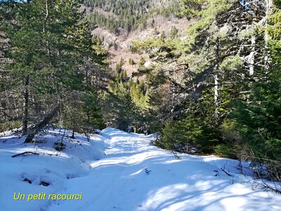 La Pointe Feuillette, IMG_20230216_142901