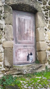 déambulateur , IMG_20230106_145307