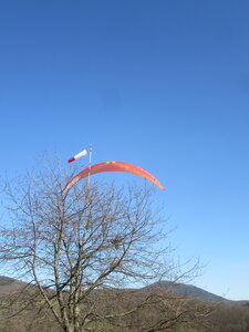 Breit 21 février, IMG_5876