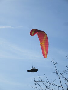 Breit 21 février, IMG_5875