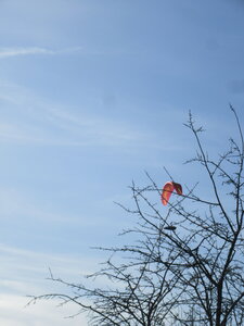 Breit 21 février, IMG_5872