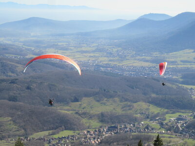 Breit 21 février, IMG_5856