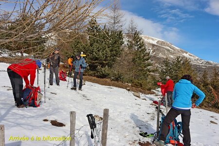 Raquettes au dessus du Col du Festre, Rando raquettes au Col du Festre 002