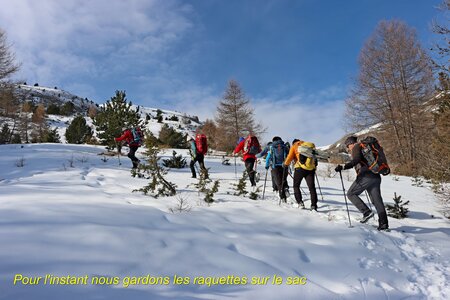 Raquettes au dessus du Col du Festre, Rando raquettes au Col du Festre 006