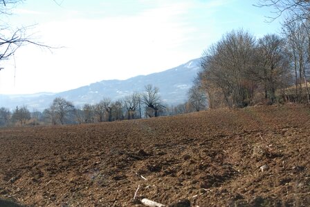 Charbillac-circuit des 3 croix le 07 mars 2023, DSC_0009