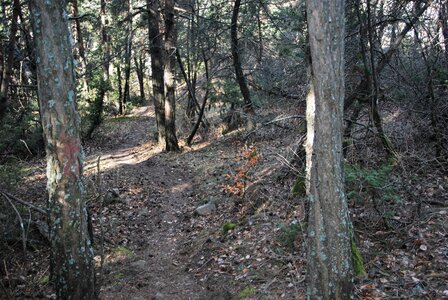Charbillac-circuit des 3 croix le 07 mars 2023, DSC_0037