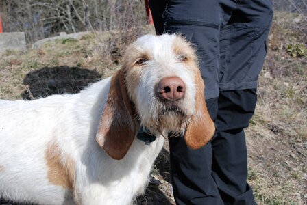 Charbillac-circuit des 3 croix le 07 mars 2023, DSC_0065