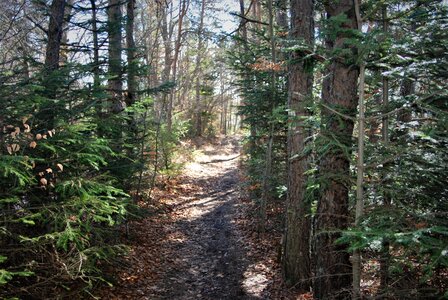 Charbillac-circuit des 3 croix le 07 mars 2023, DSC_0085