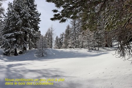 Raquettes aux chalets d'izoard, Raquettes au Chalets d’Izoard 017