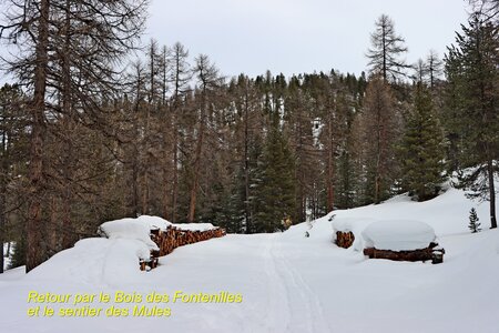 Raquettes aux chalets d'izoard, Raquettes au Chalets d’Izoard 035