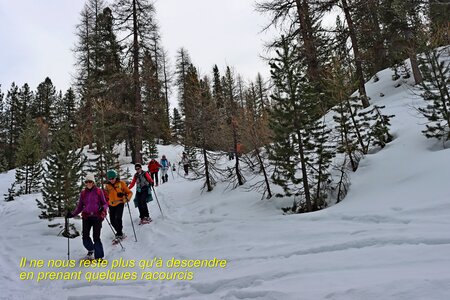 Raquettes aux chalets d'izoard, Raquettes au Chalets d’Izoard 038