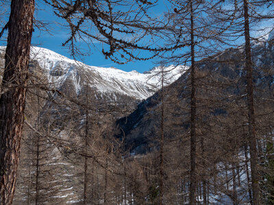 Cabane de Font les Filles 16/03, sans titre-16032023-_1057979