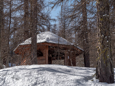 Cabane de Font les Filles 16/03, sans titre-16032023-_1057980