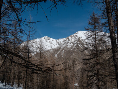 Cabane de Font les Filles 16/03, sans titre-16032023-_1057981