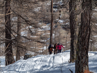 Cabane de Font les Filles 16/03, sans titre-16032023-_1057982