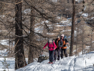 Cabane de Font les Filles 16/03, sans titre-16032023-_1057983