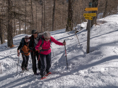 Cabane de Font les Filles 16/03, sans titre-16032023-_1057984