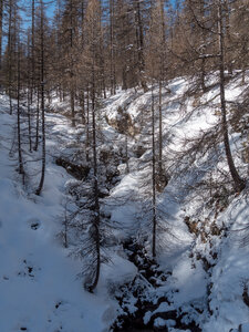Cabane de Font les Filles 16/03, sans titre-16032023-_1057986