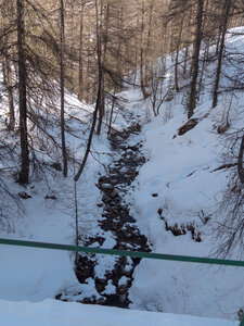 Cabane de Font les Filles 16/03, sans titre-16032023-_1057988