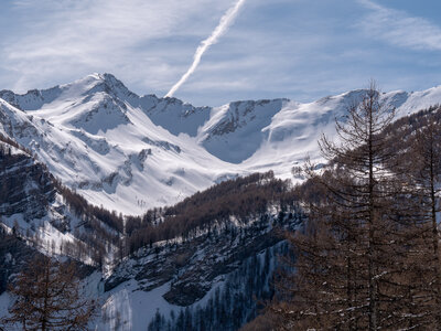 Cabane de Font les Filles 16/03, sans titre-16032023-_1057991