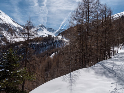 Cabane de Font les Filles 16/03, sans titre-16032023-_1057993
