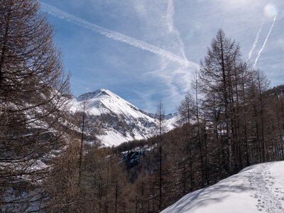 Cabane de Font les Filles 16/03, sans titre-16032023-_1057994