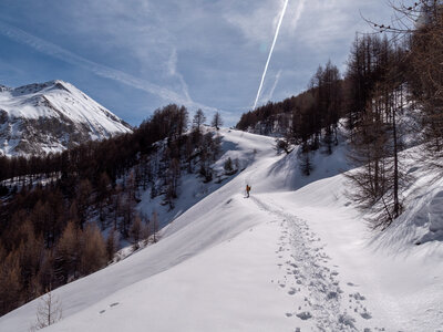 Cabane de Font les Filles 16/03, sans titre-16032023-_1057996