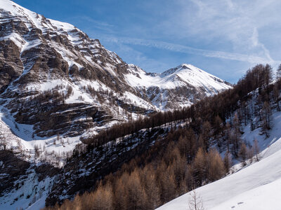 Cabane de Font les Filles 16/03, sans titre-16032023-_1057997
