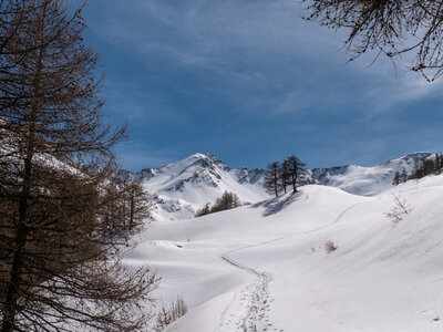 Cabane de Font les Filles 16/03, sans titre-16032023-_1057998