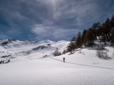 Cabane de Font les Filles 16/03, sans titre-16032023-_1057999