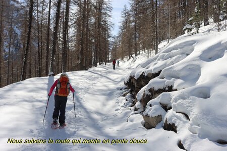 Raquettes vers la Cabane de Font les Filles, Raquettes vers la Cabane de Font les Filles 011