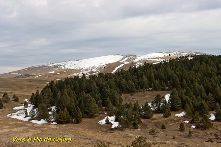Le Pic et la Corniche de Céüse, Le Pic et les Crêtes de Céüse 033