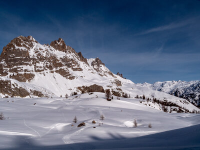 Chardonnet, Névache-21032023-_1058071