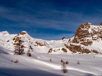 Chardonnet, Névache-21032023-_1058072
