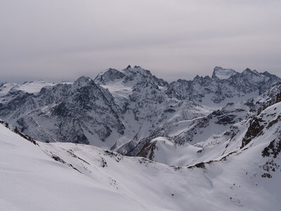 Chardonnet, Névache-21032023-_1058118
