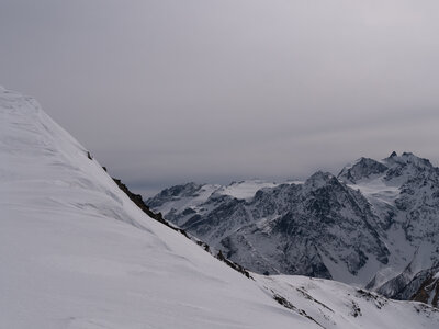 Chardonnet, Névache-21032023-_1058119