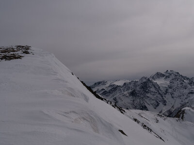 Chardonnet, Névache-21032023-_1058127