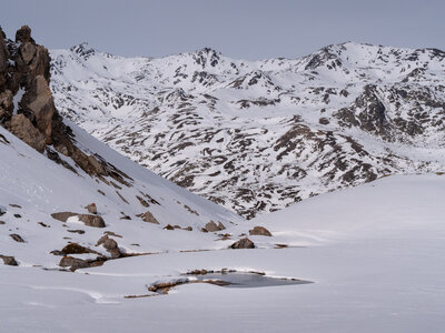 Chardonnet, Névache-21032023-_1058137