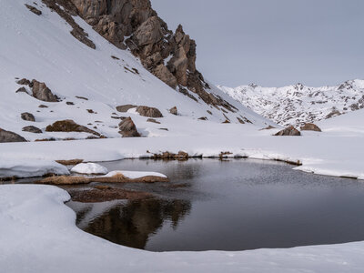 Chardonnet, Névache-21032023-_1058138