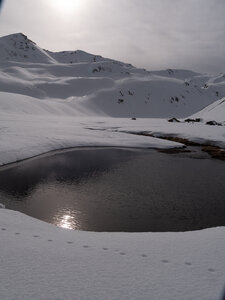 Chardonnet, Névache-21032023-_1058141