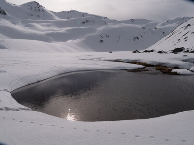 Chardonnet, Névache-21032023-_1058142