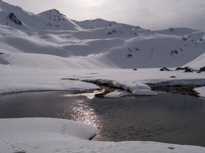 Chardonnet, Névache-21032023-_1058144