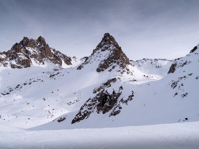 Chardonnet, Névache-21032023-_1058146