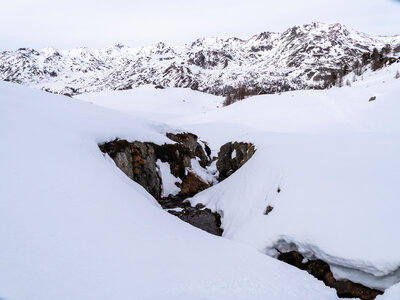 Chardonnet, Névache-21032023-_1058149