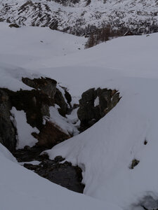 Chardonnet, Névache-21032023-_1058150