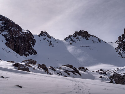 Chardonnet, Névache-21032023-P1058091