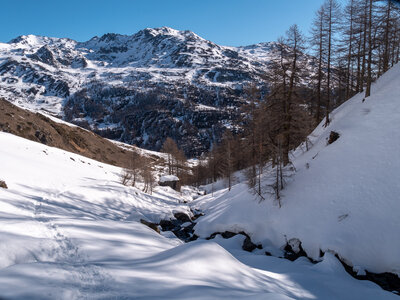 Chardonnet-Ricou, Névache-22032023-_1058156