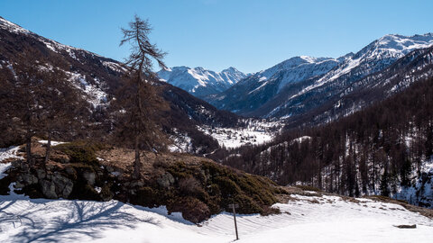 Chardonnet-Ricou, Névache-22032023-_1058169