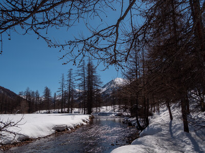Chardonnet-Ricou, Névache-22032023-_1058182